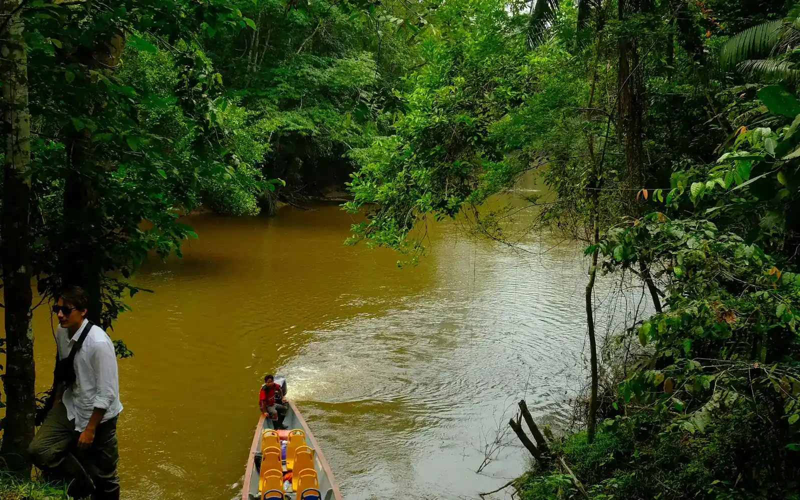 Un guide pagayant sur les eaux de la forêt tropicale