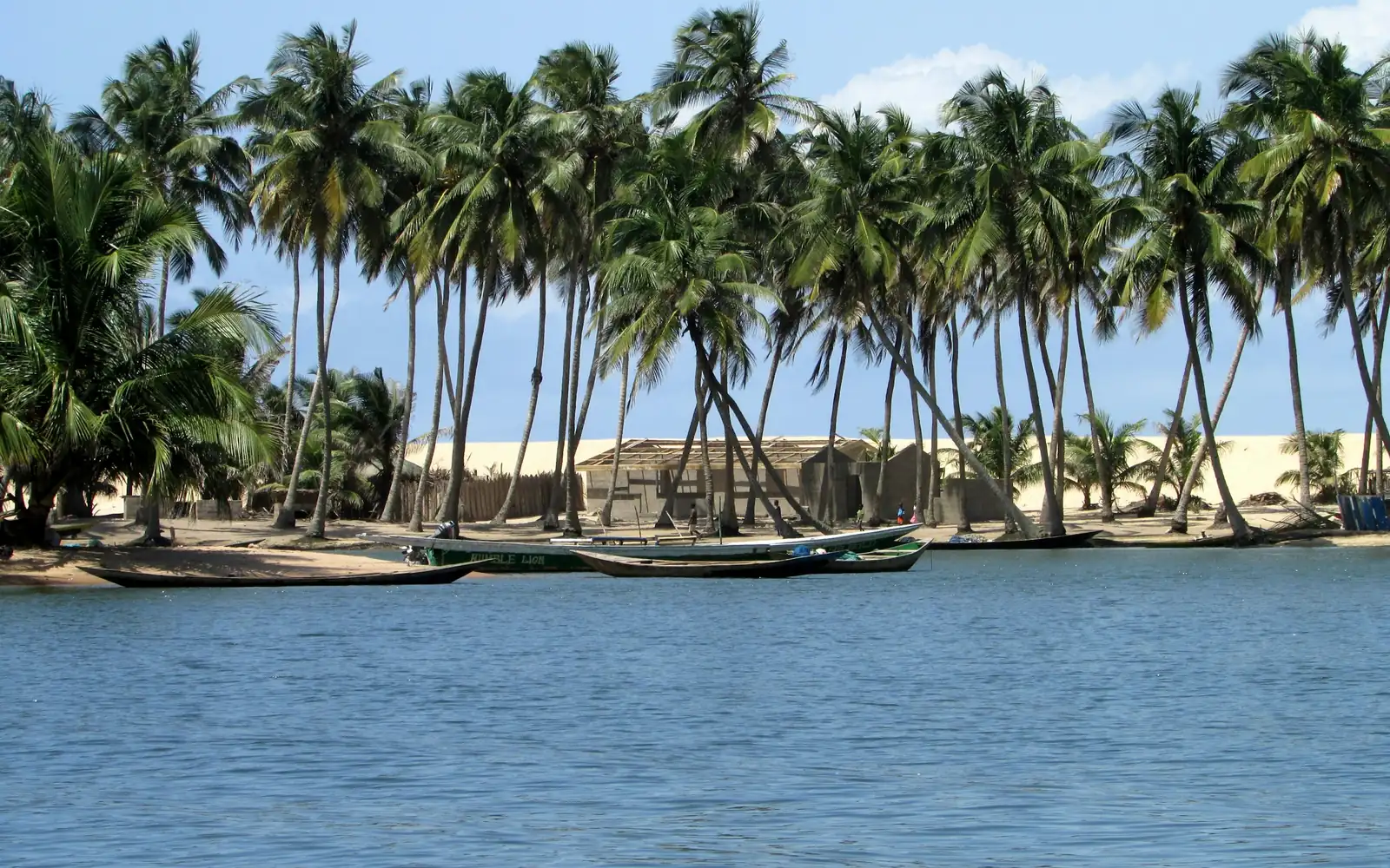 Des palmiers et des bateaux de pêche sur la rive
