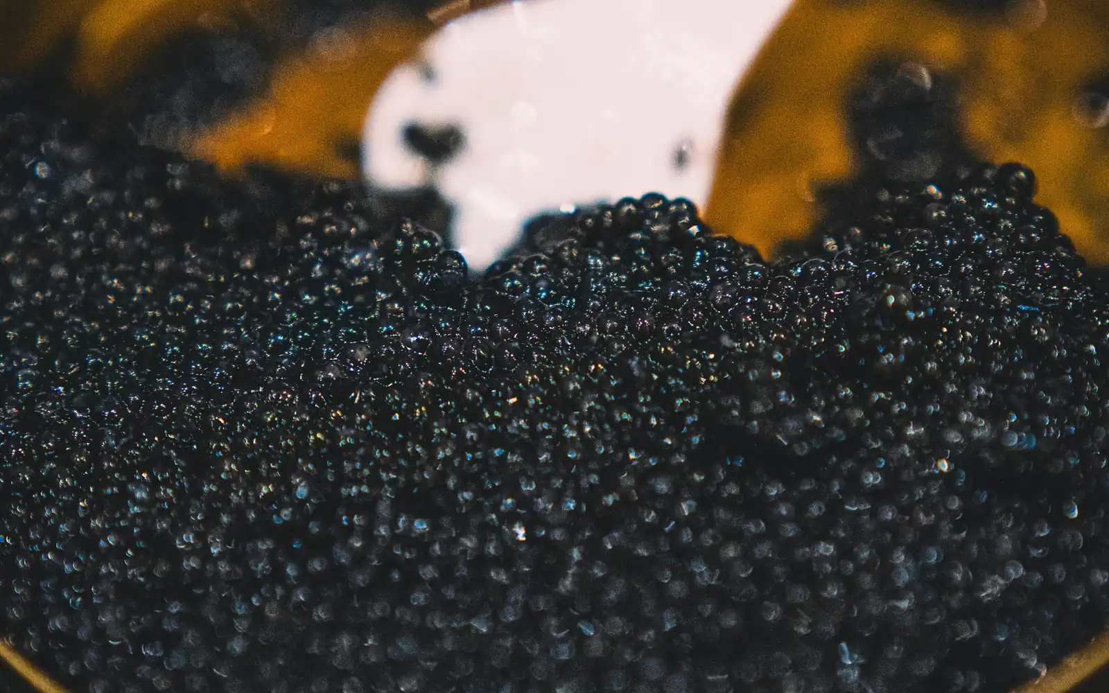 Un caviar noir rare brillant dans sa boîte