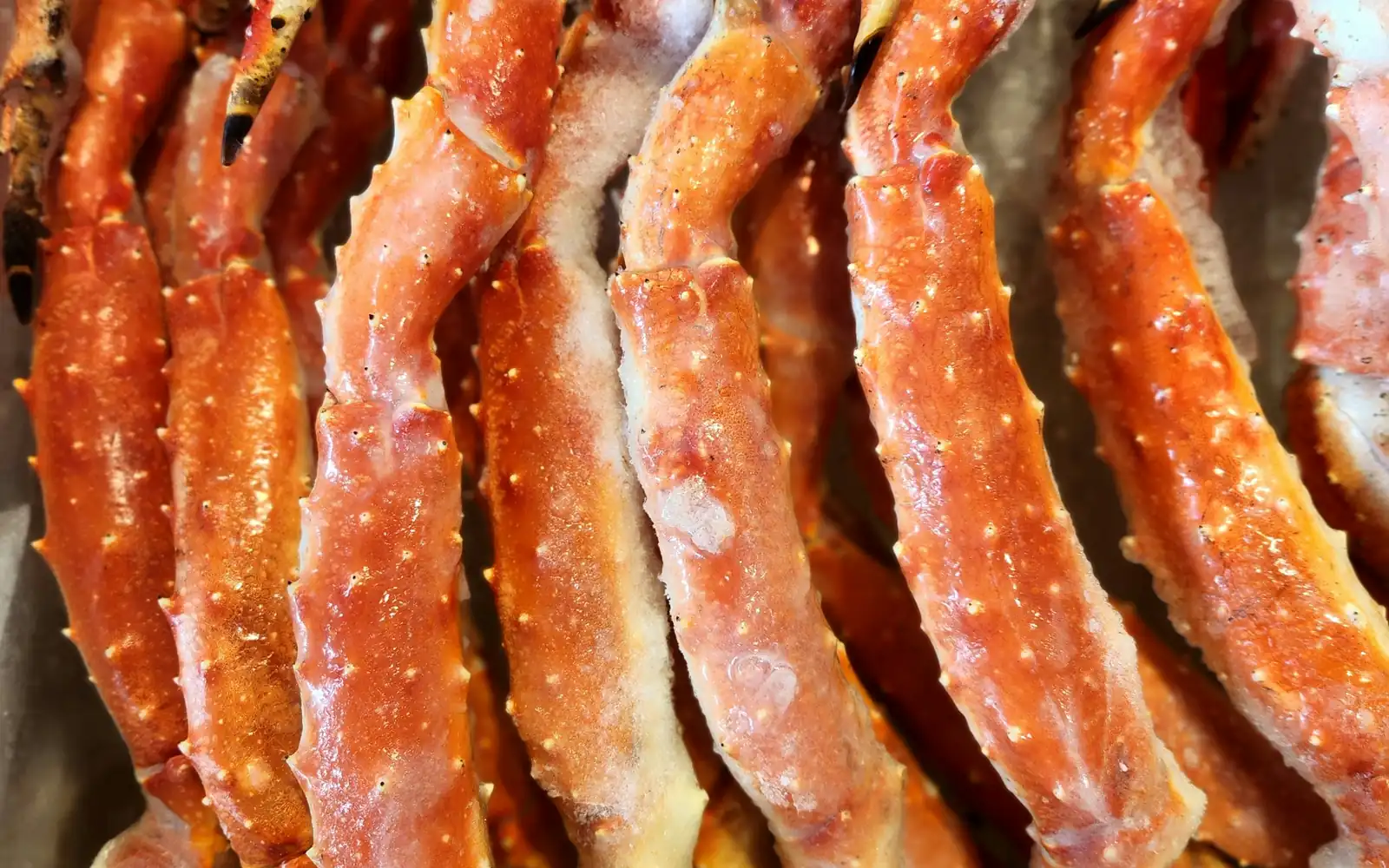 Pattes de crabe royal rouge géant, fraîchement débarquées