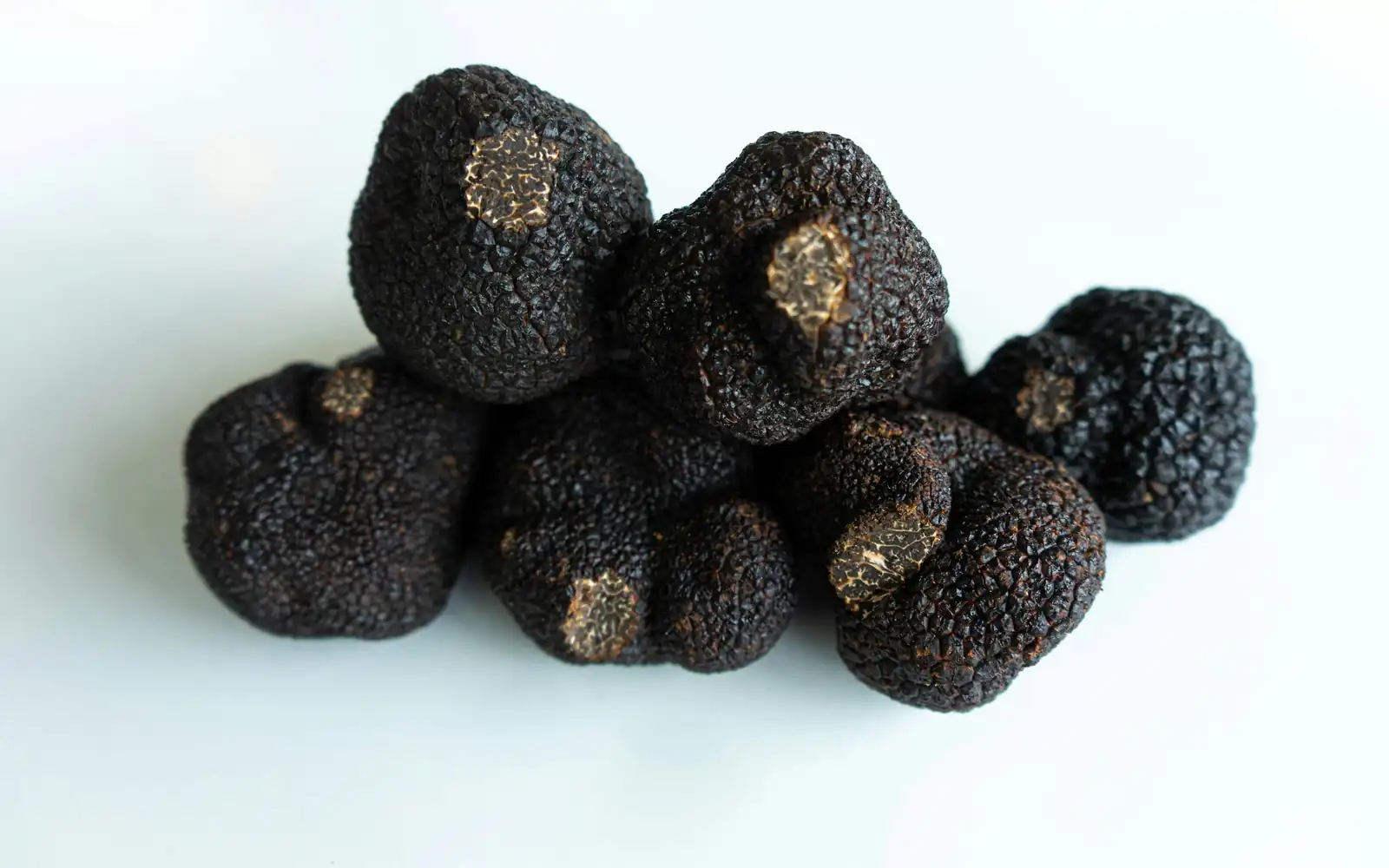 De rares truffes noires de la récolte d’hiver