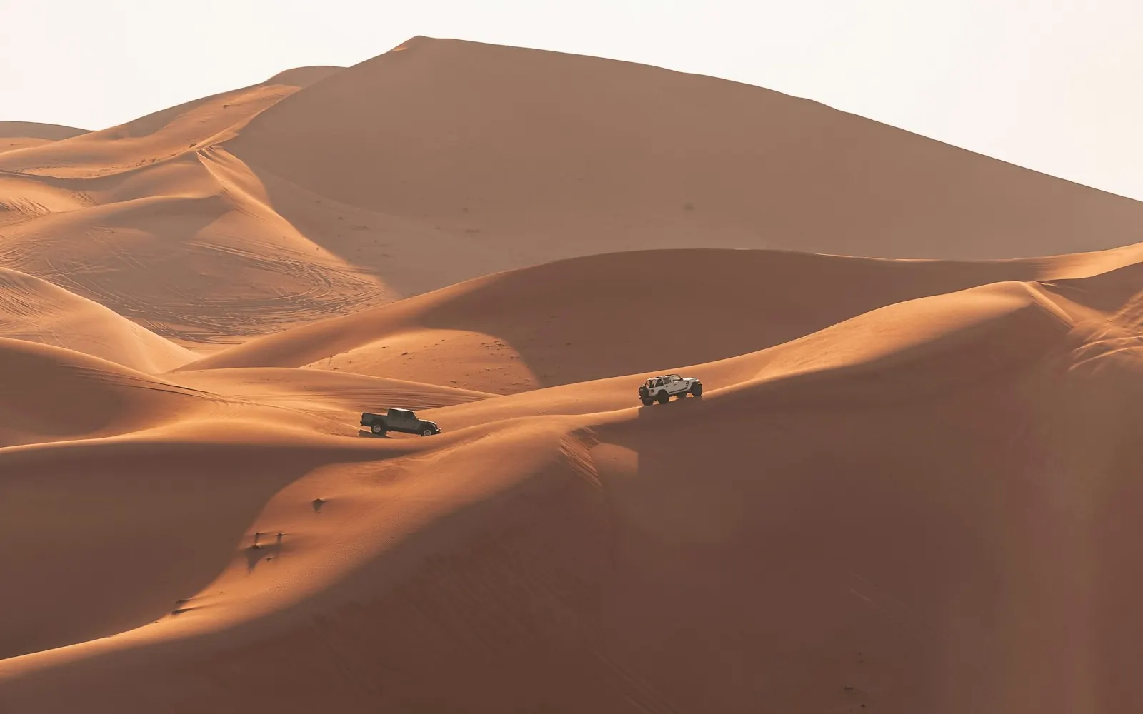 Des dunes dorées du désert