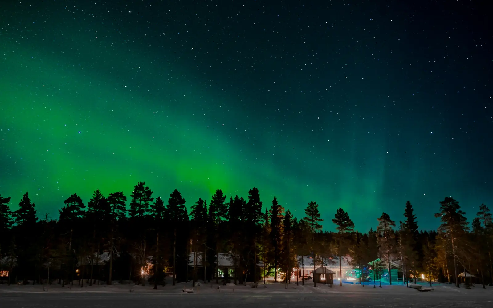 Des aurores boréales au-dessus d’une forêt paisible la nuit