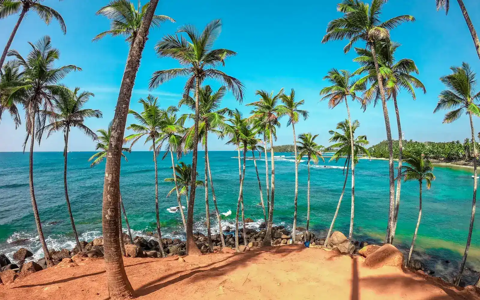 Des palmiers penchés au-dessus d’une baie turquoise