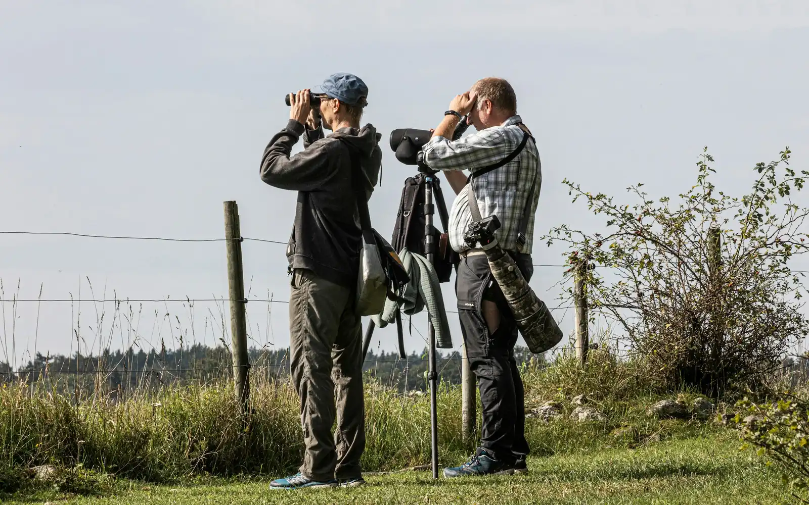Deux chasseurs observant la plaine à la longue-vue
