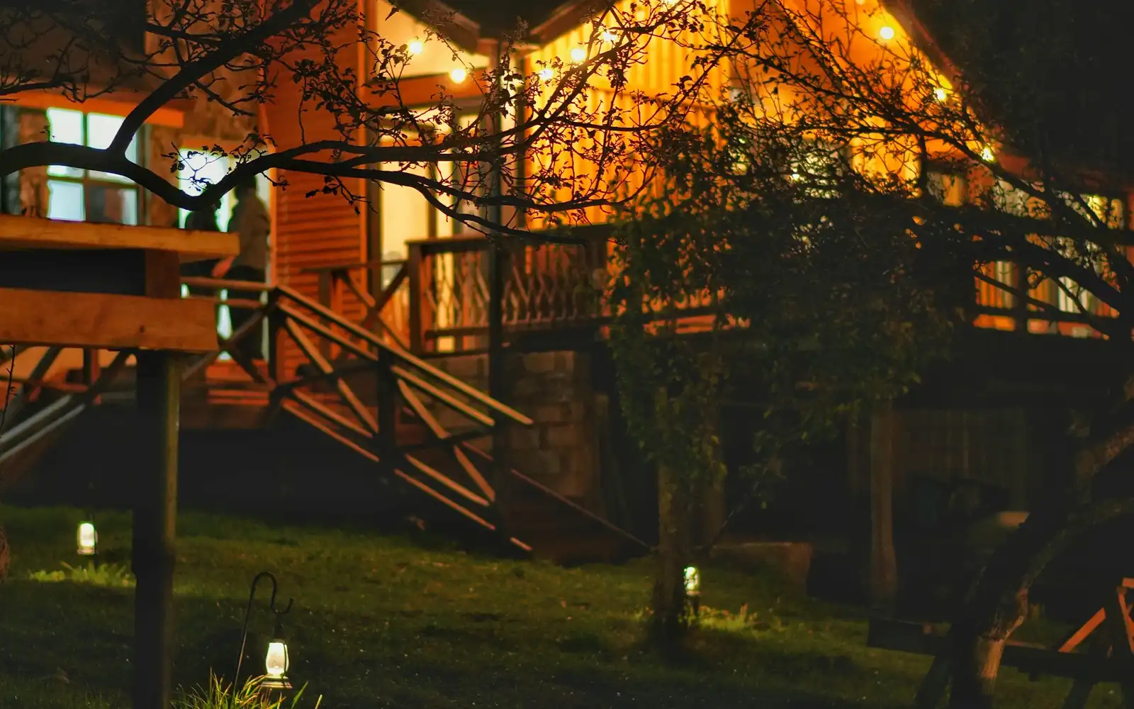 Une suite illuminée dans une cabane perchée sous la canopée