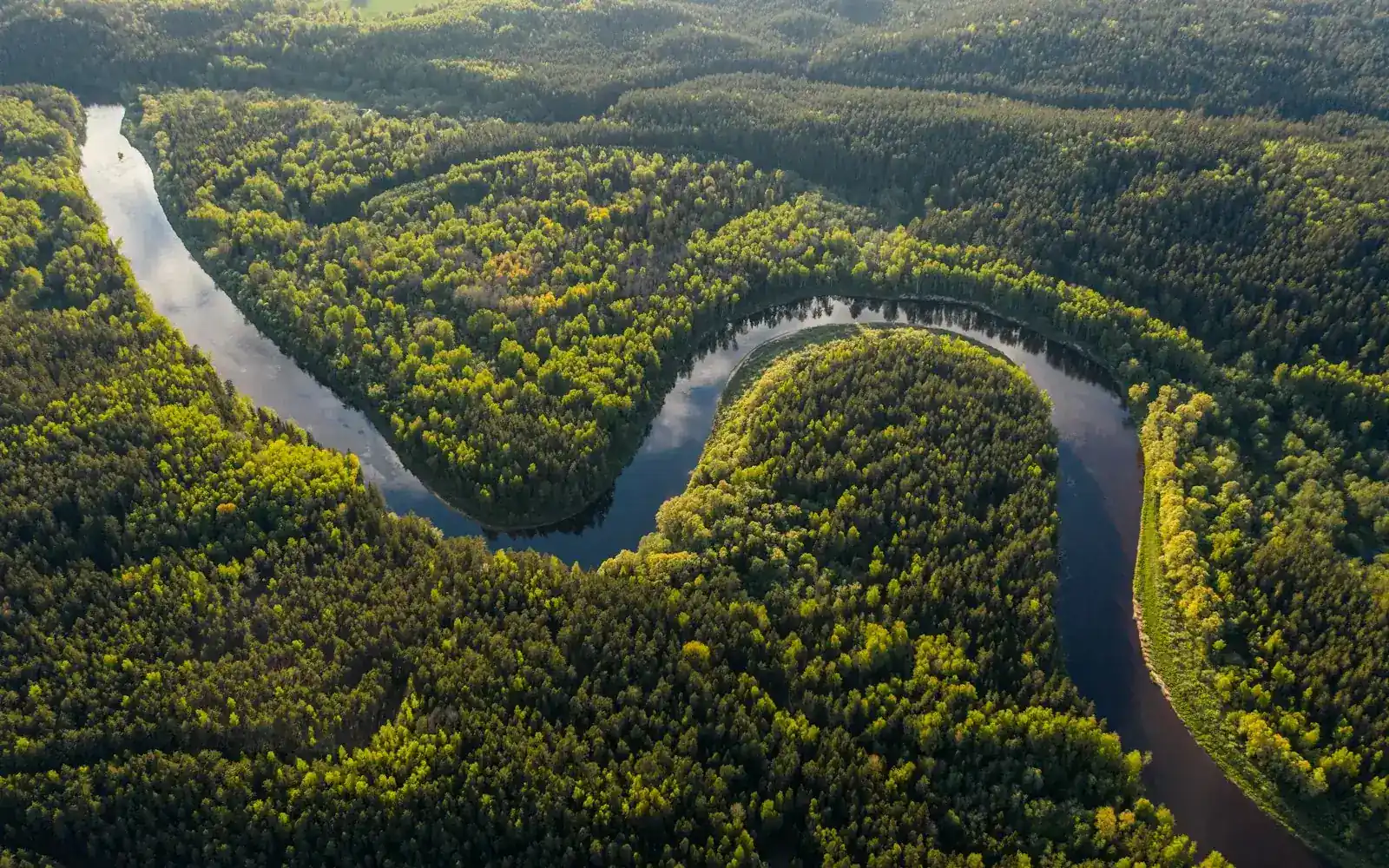 Une rivière sinueuse dans la forêt tropicale